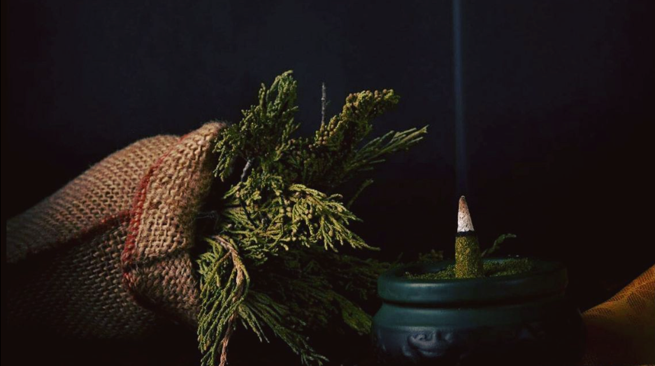 Mongolian Traditional Medicine