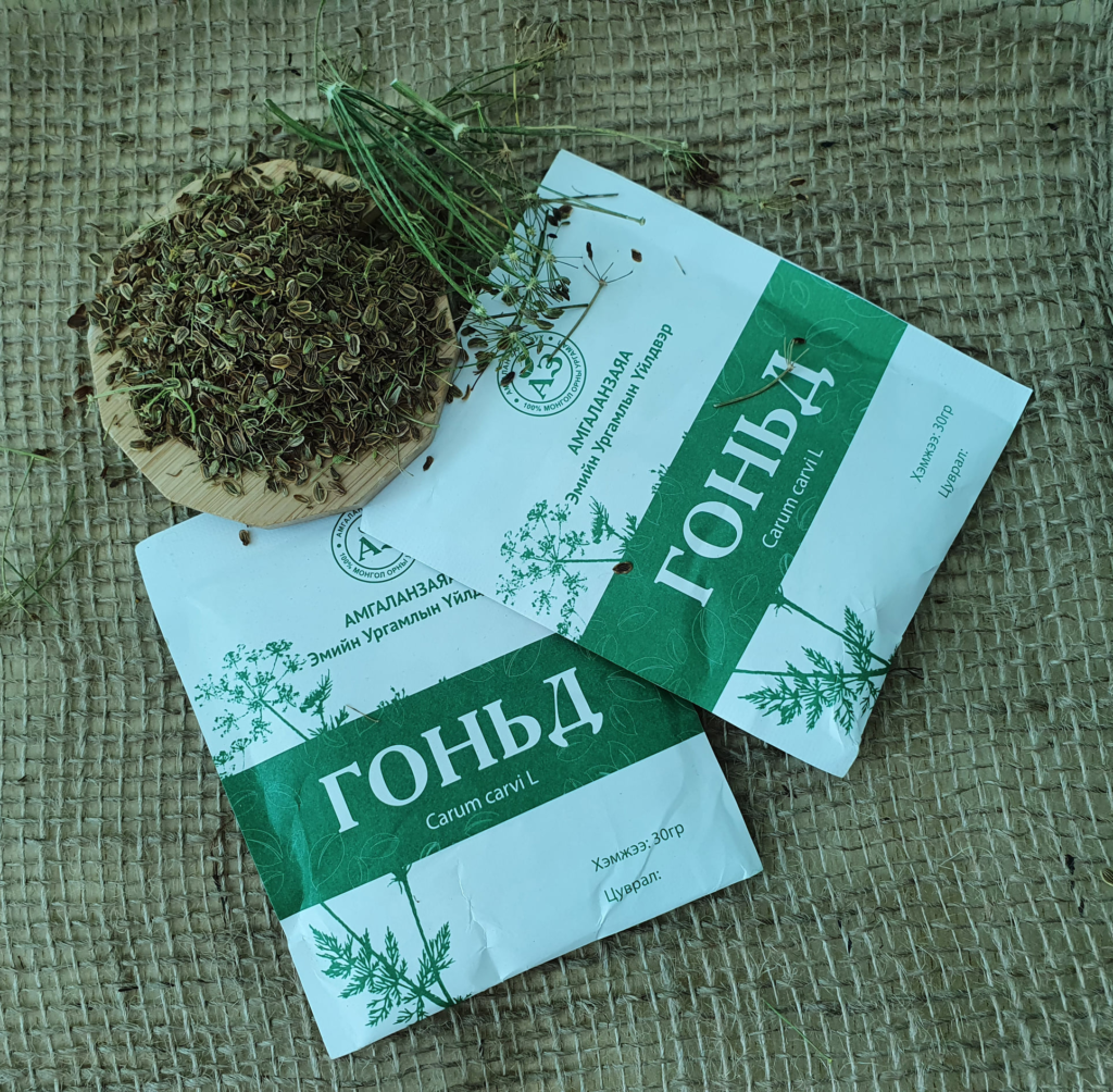 Mongolian Traditional Medicine Carum carvi L