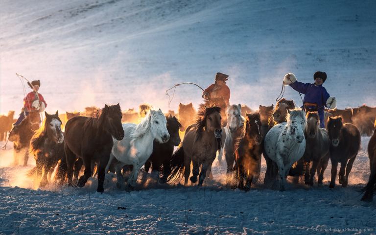 Mongolian Horse Riding Traditions