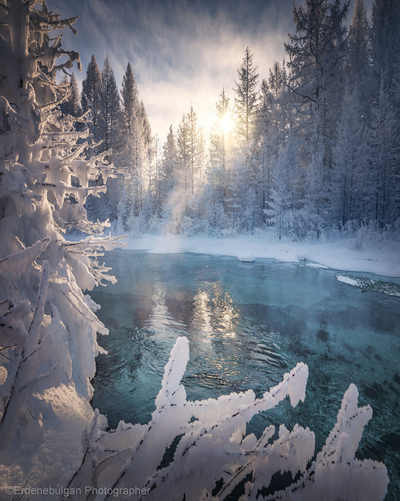 Mongolian Winter Wildlife