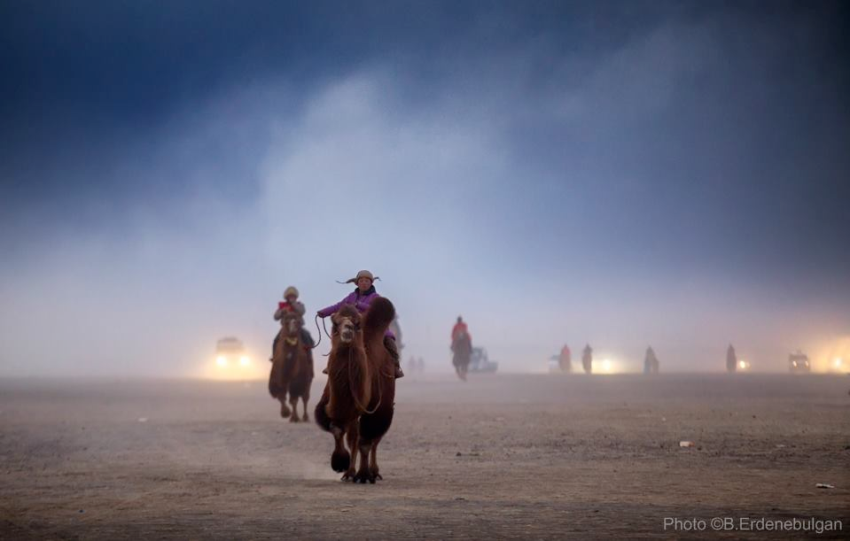 Thousand Camel Festival