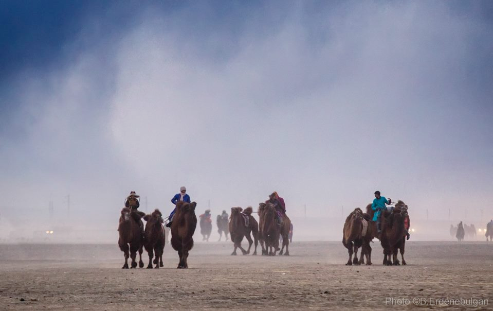 Thousand Camel Festival