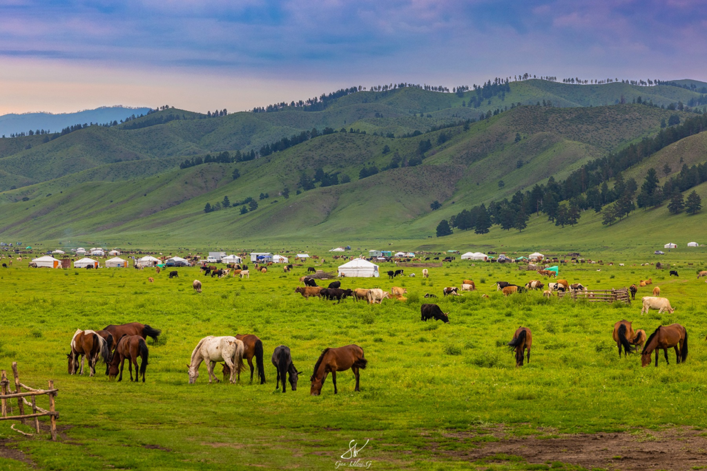 About Mongolia