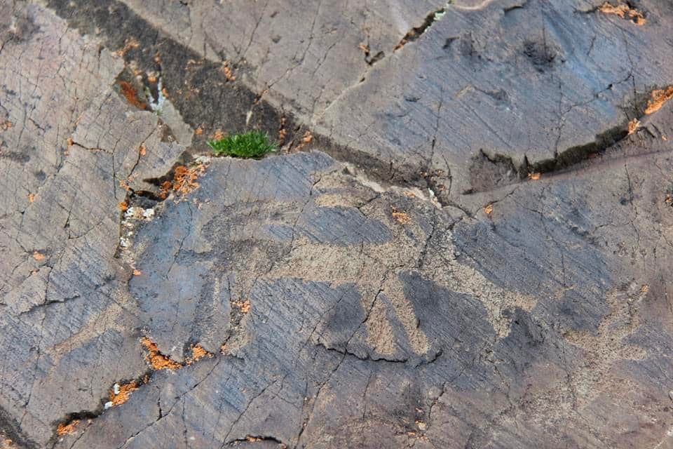 Mongolian Rock Art
