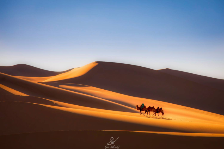 Umnugovi Province: Unraveling the Mysteries of the Desert