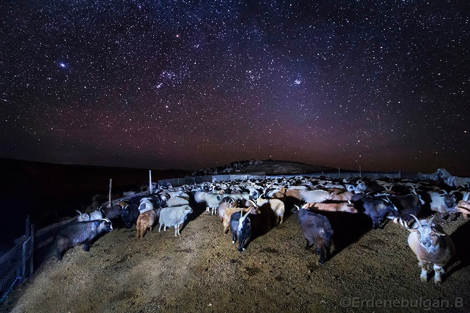 Mongolian Winter Camping