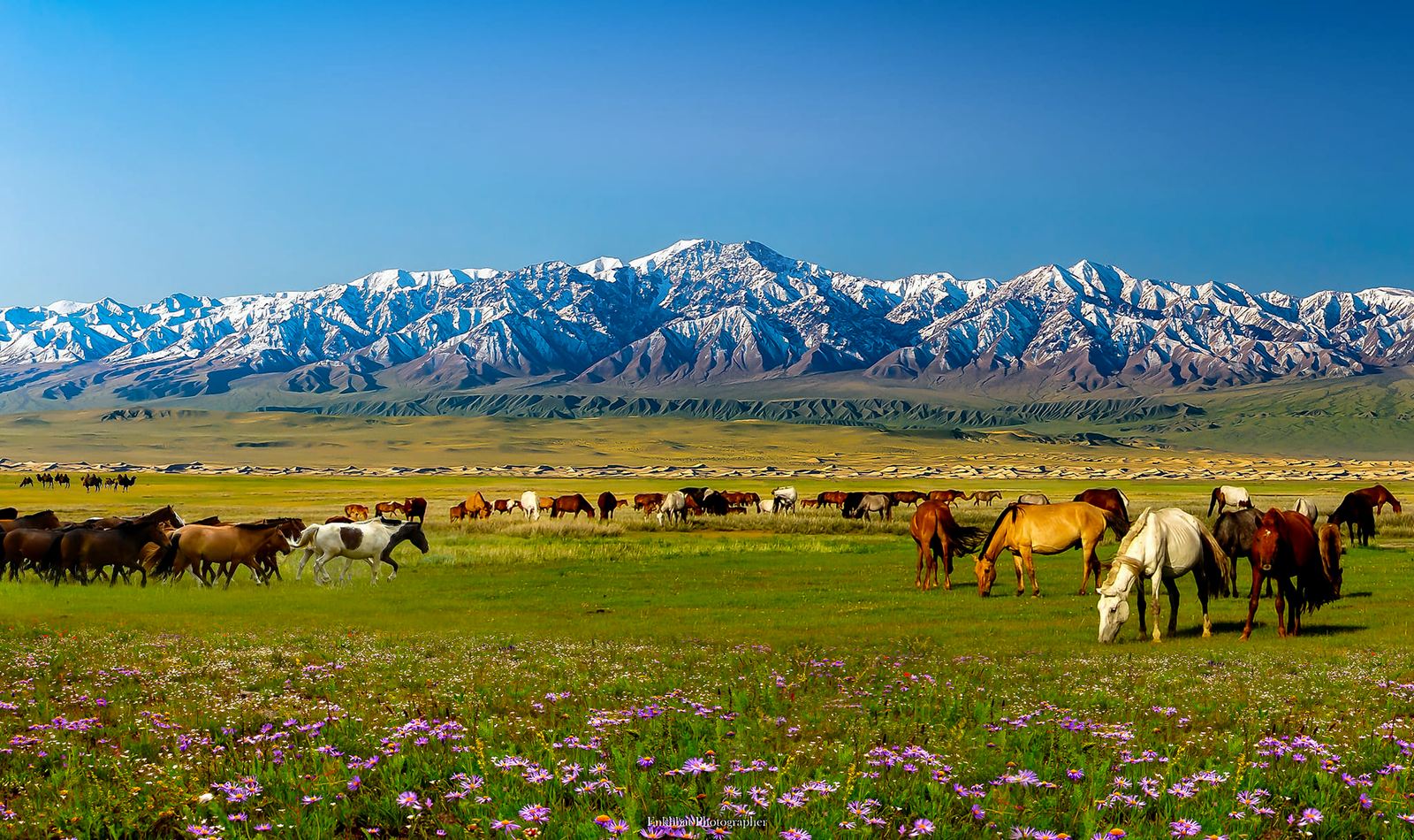 Mongolian Geography