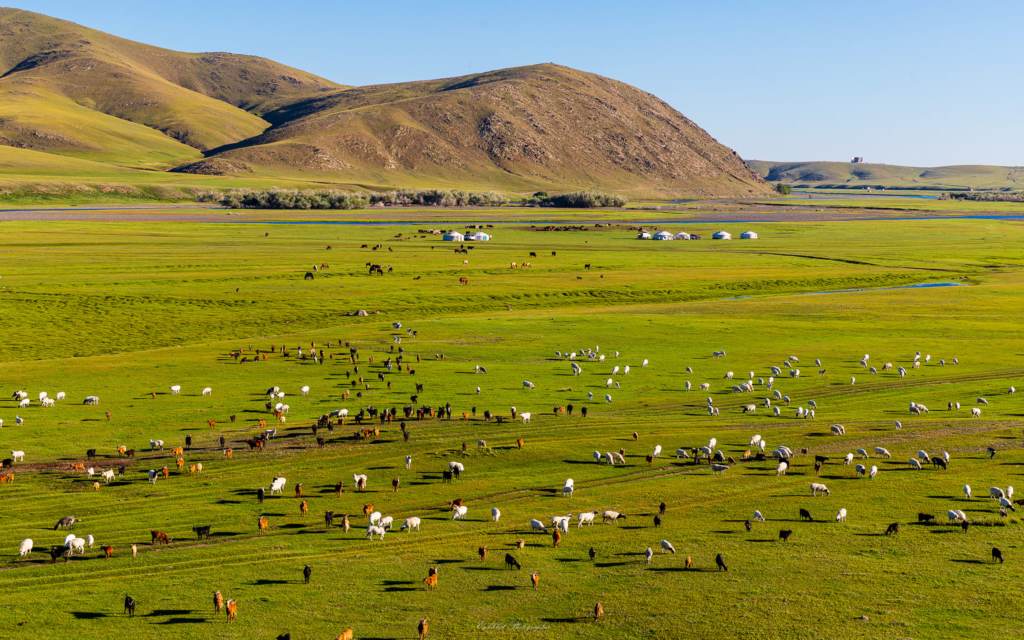 Selenge Province