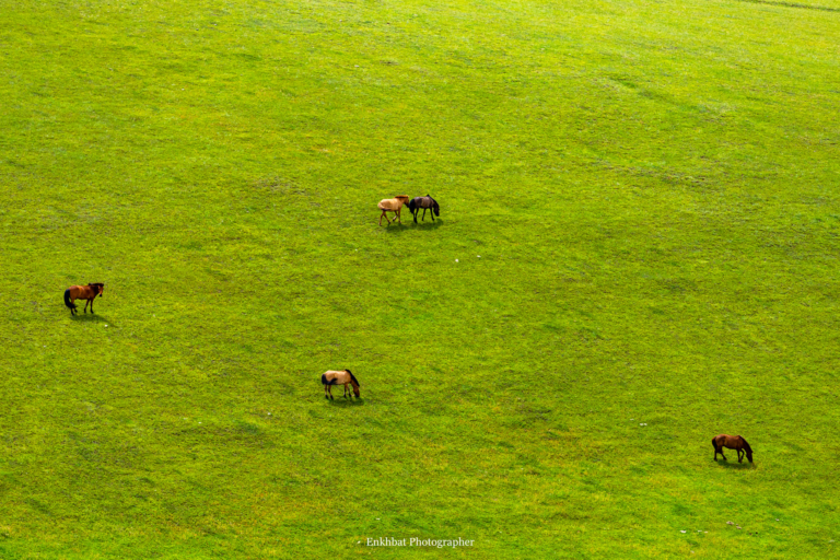 Mongolian Geography: Exploring the Wonders