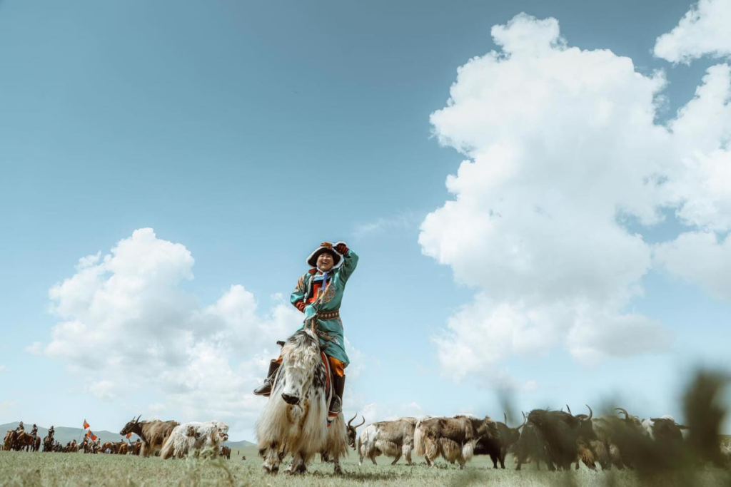 Mongolian Yak